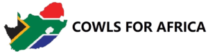 1648487011752