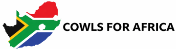 Logo New Site